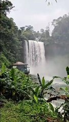 CHAMPA Piratas, templos y resistencia en el Sudeste Asiático - Cronoscopio (360p, h264)