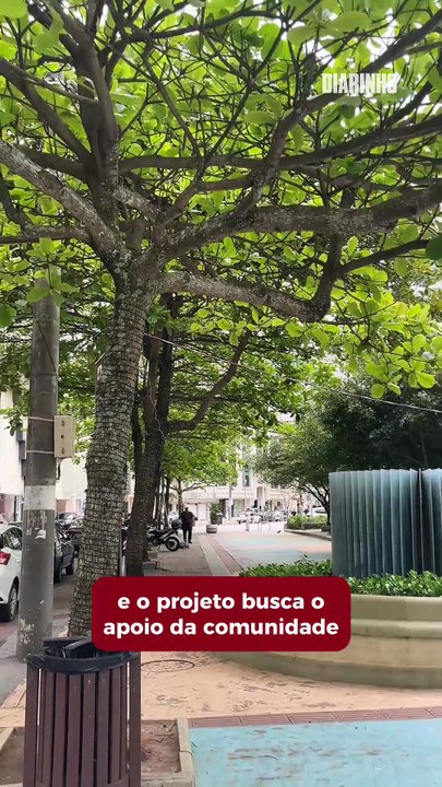 Moradores podem escolher lugares pra plantio de árvores