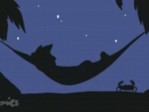 Episode 55: Traveling Gringos