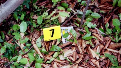 Hunted by My Husband: The Untold Story of the DC Sniper | movie | 2025 | Official Trailer