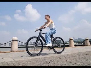 2024 Tezeus C8 Urban-E-Bike | nur 15 kg, Rahmen aus Carbon, 250 Watt Mittelmotor, 60 NM, 360-Wh-Akku