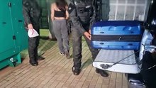 Mulher tenta enganar com café, mas cão farejador encontra skunk em ônibus para Balneário