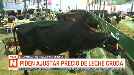FEDEPLE PIDE AJUSTAR EL PRECIO DE LA LECHE CRUDA