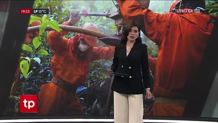 “Es relativamente modesto”, dice experto ante descubrimiento de 0,2 TCF en pozo Bermejo-X46D