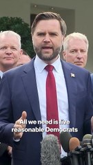 Vance calls on Dems to 'end the craziness' of the Gov shutdown