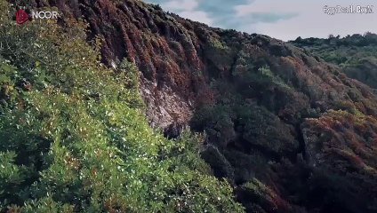 مسلسل المؤسس اورهان الموسم الاول الحلقة 1 مترجم - قسم 1