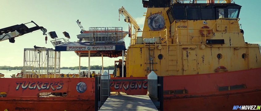 Dangerous Animals 2025 – Full Movie