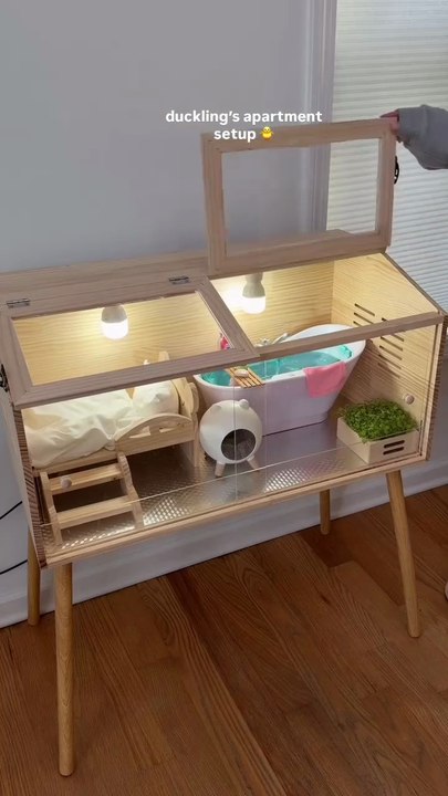Duckling's apartment
