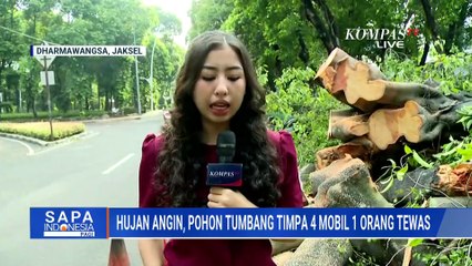 Hujan Deras Buat Pohon Beringin di Jalan Dharmawangsa Tumbang & Timpa 4 Mobil, 1 Orang Tewas