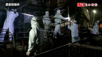 中市府連非洲豬瘟案場豬糞都沒清  今再加派50名化學兵清消