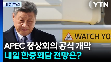 [뉴스나우] APEC 정상회의 공식 개막...내일 한중회담 전망은? / YTN