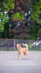 The Cure for a Broken Heart #shortfilm