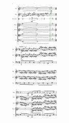 Orchestral music composed between 2020.7.27-2020.8.17 (Vertical complete score)