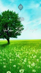 subha Allah || 1 million followers #islamicknowledge #ajmalrazaqadri #molanatariqjameel #jashaneidmiladnabi #unfrezzmyaccount #quran #madina #trending #islamic #islam #muslim #viral #1millionviews #capcut