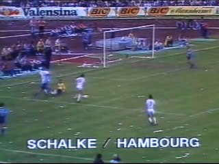 SCHALKE 04 - HAMBOURG - 1983 - SAISON 1982/1983 -