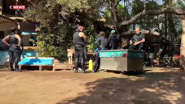 Israël : Avec les accords de paix (fragiles), les touristes de retour dans la station balnéaire d'Eilat