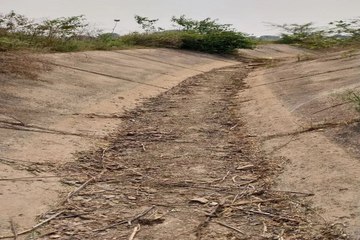 swm news: पानी बांधों में कैदए टेल तक पहुंचने की राह बंद