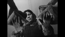 The House is Black (خانه سیاه است) (Forugh Farrokhzad, 1963)