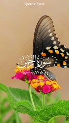 Surah Ar-Rahman ayat 17 to 21