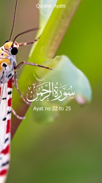 Surah Ar-Rahman ayat 22 to 25