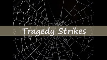 Episode 21 Ed Gein case | The Killer Who Inspired Many Movies