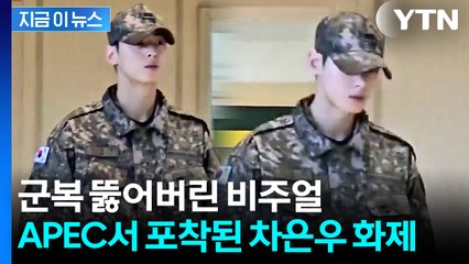 "국보가 경주에 있네"...APEC에 등장한 '군인' 차은우 [지금이뉴스] / YTN