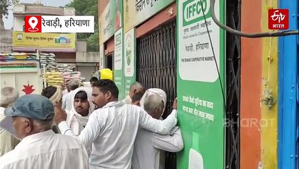रेवाड़ी में डीएपी की कालाबाजारी, किसानों का आरोप, बोले- "राजस्थान में ऊंचे दामों पर बेची जा रही खाद"