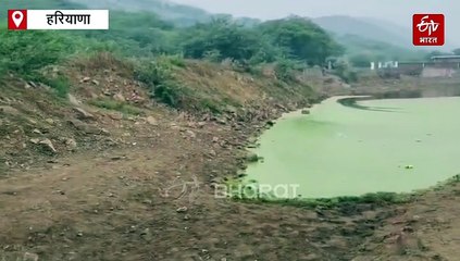 नूंह पाठखोरी में दर्दनाक हादसा, छोटी बहन को बचाने गई बड़ी बहन भी तालाब में डूबी, दो की मौत से गांव में छाया मातम