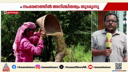 നെല്ല് സംഭരണ പ്രതിസന്ധിയിൽ പ്രതീക്ഷ; ഇന്ന് പരിഹാരമായേക്കുമെന്ന് കൃഷി മന്ത്രി