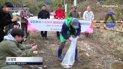 길조가 나타났다…고향으로 돌아간 ‘황금장어’