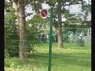 manifestation lycé guillaume budé