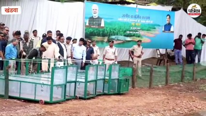 मगरमच्छों के लिए मुख्यमंत्री अपनी जान खतरे में डालकर सुरक्षा जाली फांदकर उतरे बाड़े में