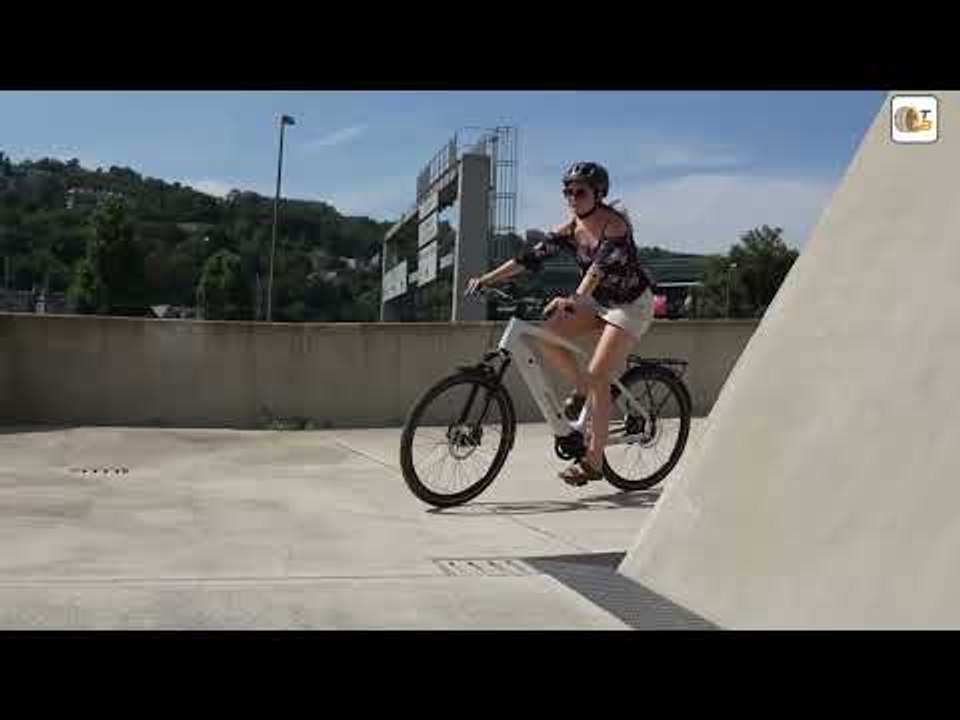 Ananda M5000: Neuer E-Bike-Motor mit 250 Watt, 75 Nm und nur 2,5 kg