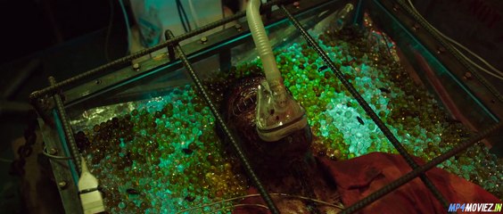 Project Wolf Hunting – Full Movie Hindi Dubbed