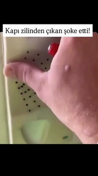 Akıllara durgunluk veren olay! Kapı zilini söktü, yüzlerce hamamböceği karşısında küçük dilini yuttu