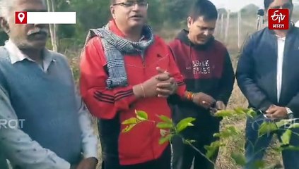 युवाओं व संतों की मेहनत से उज्जैन की चन्द्रभागा नदी में फिर बही धारा, सिंहस्थ में पहले शिप्रा भी मुस्कुराई