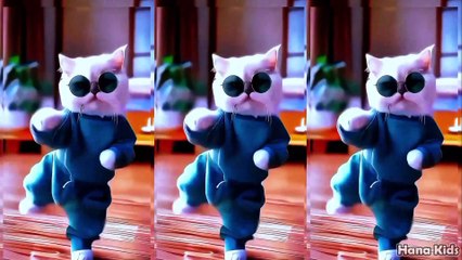 Funny dancing cat Bintang Kecil - Dancing cat - Cute cat - Funny Cat - HANA KIDS