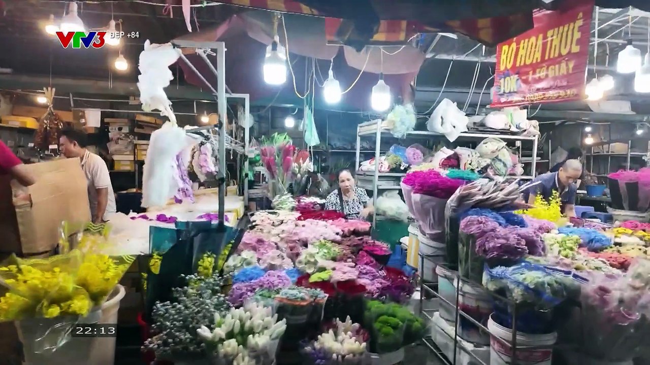 VTV3 - Đẹp +84 - Số 173 (29/10/2025) [FULL]