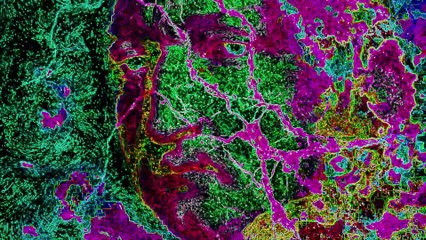 Starry-Eyed Unsurprised - October 31, 2025#trancemusic    #psytrance #trancefamily #dj #music #rave #techno #trancemusic #edm #psy #housemusic #dance #festival #psychedelic #electronicmusic #house #party #love #trancelovers #trancelife #deephouse #progres