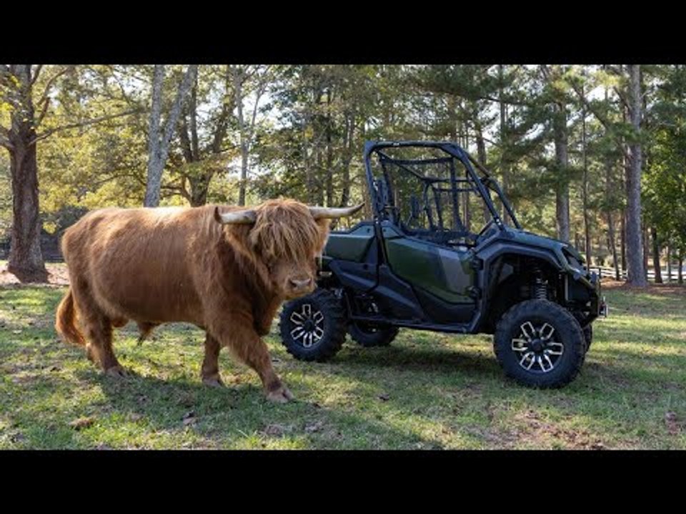 Honda Pioneer 1000-5 Trail Special Edition 2025 | Details zum Side-by-Side mit Soundanlage