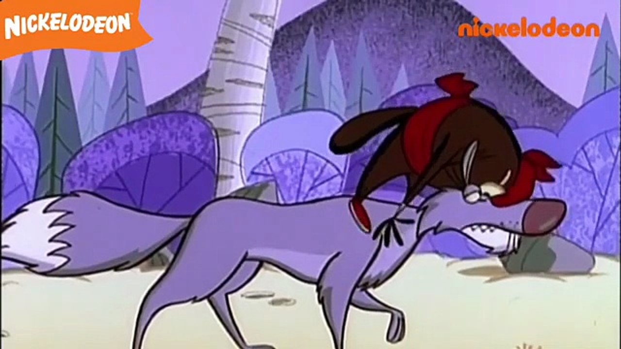 Les Castors Allumés - Les coups de grâce