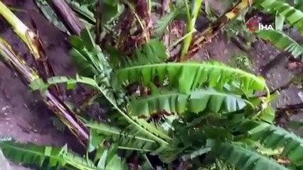 Vietnam'da ölü sayısı 13'e yükseldi