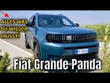 Fiat Grande Panda 2024: Elektro & Hybrid | die Fakten