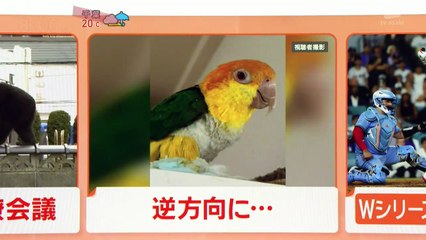 羽鳥慎一モーニングショー  動画　2025年日10月31日