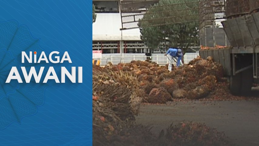 Sektor sawit dijangka kekal stabil walaupun perdagangan kacang soya AS-China disambung semula.