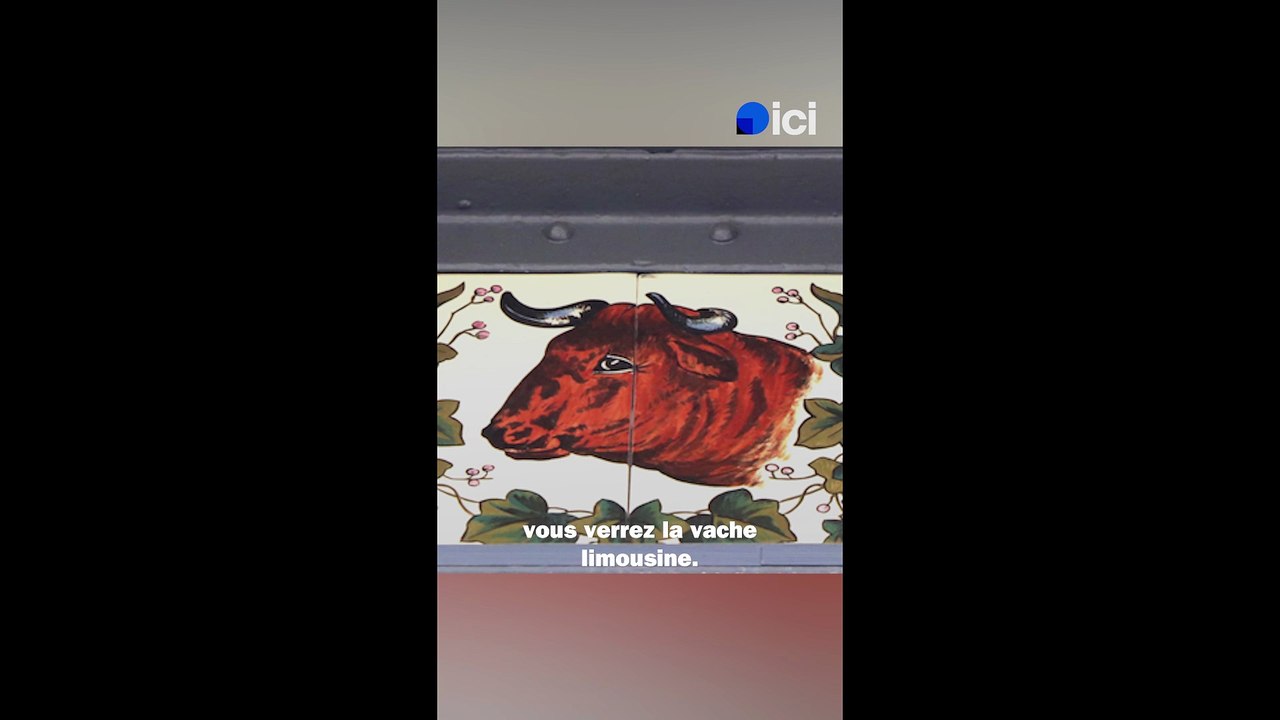 La porcelaine dans les halles de Limoges