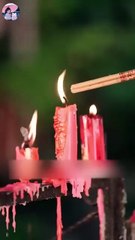 bowing to his silent rose chinese drama💖