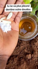 Astuce pour retour d'affection rapide 00229 55818000