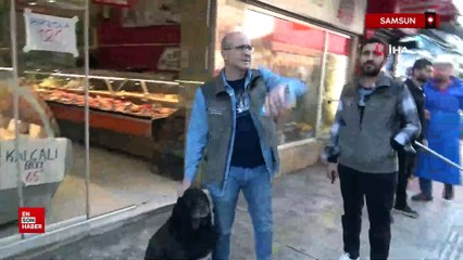 Samsun'da başıboş sokak köpekleri toplanarak barınağa götürüldü