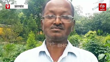 चक्रवाती तूफान मोंथा से धान, आलू और सब्जियों की फसल को नुकसान, प्रभावित किसान फसल बीमा की राशि के लिए करें ये काम